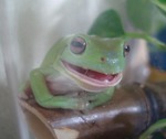 こしあん012.jpg