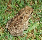 沖縄026.jpg