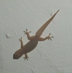 沖縄029.jpg