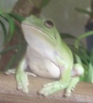 紹介3.jpg