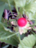 image/yuyama-2006-06-03T15:04:26-1.jpg