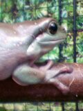 070522_1438~002.jpg