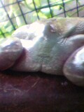 070522_1439~002.jpg