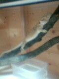 070527_0106~001.jpg